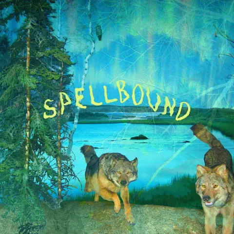BOYSCOTT – CD SPELLBOUND