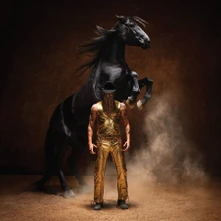 Orville Peck, Vinyl Bronco