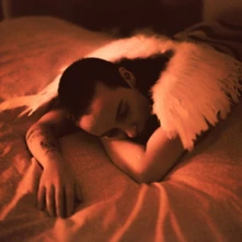 Vinyl MIDNIGHT BUTTERFLIES