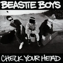 CD CHECK YOUR HEAD