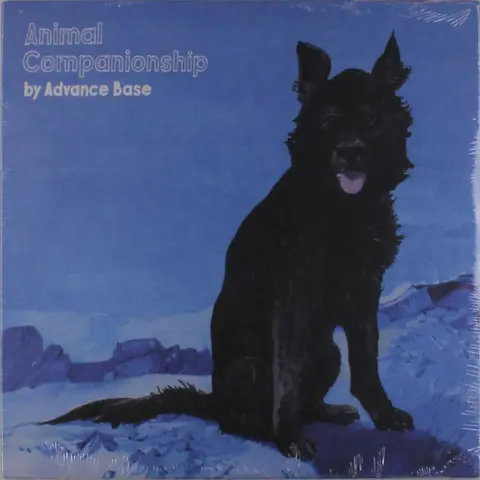 Advance Base – Vinyl ANIMAL COMPANIONSHIP