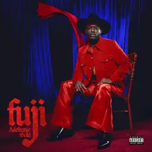 Adekunle Gold, Vinyl FUJI