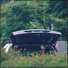 Eiko Ishibashi & Jim O'Rourke – PAREIDOLIA (Vinyl)