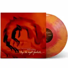 Terri Lyne Carrington, Vinyl TRIP THE NIGHT FANTASTIC