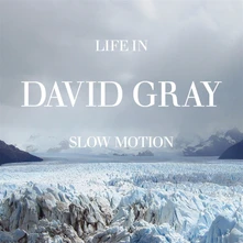 David Gray, Vinyl LIFE IN SLOW MOTION