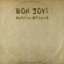 CD BURNING BRIDGES