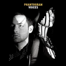 Phantogram, Vinyl VOICES
