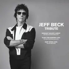 TRIBUTE (BLACK FRIDAY RSD 2023) thumbnail