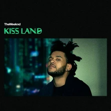 Vinyl KISS LAND