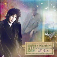 The Waterboys, CD AN APPOINTMENT WITH MR YEATS