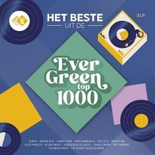 Various Artists, Vinyl HET BESTE UIT DE EVERGREEN TOP 1000 - 2LP