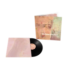 David Sylvian, Vinyl The Good Son Vs. The Only Daughter - The Blemish Remixes