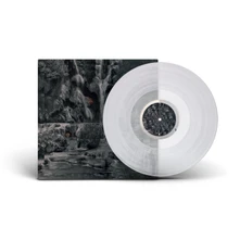 Lambchop, Vinyl PUNCHING THE CLOWN