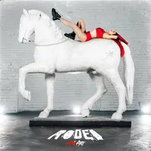 Vinyl RODEO