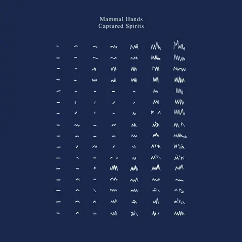CD MAMMAL HANDS - CAPTURED SPIRITS