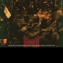 Vomit Forth, CD Seething Malevolence