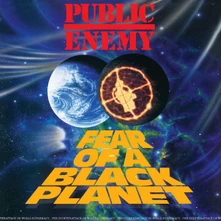 Vinyl FEAR OF A BLACK PLANET