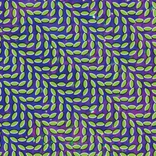 Animal Collective, Vinyl MERRIWEATHER POST PAVILLI