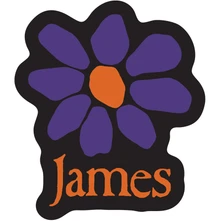 Nálepka Sticker: Orange Logo Purple Daisy