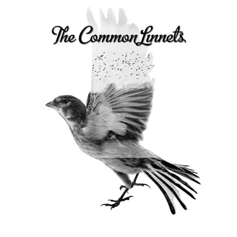 CD THE COMMON LINNETS