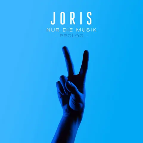 Joris – Vinyl Nur Die Musik