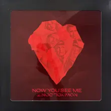NOW YOU SEE ME, NOW YOU DON'T thumbnail