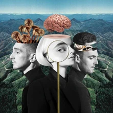 Clean Bandit, CD What is Love?