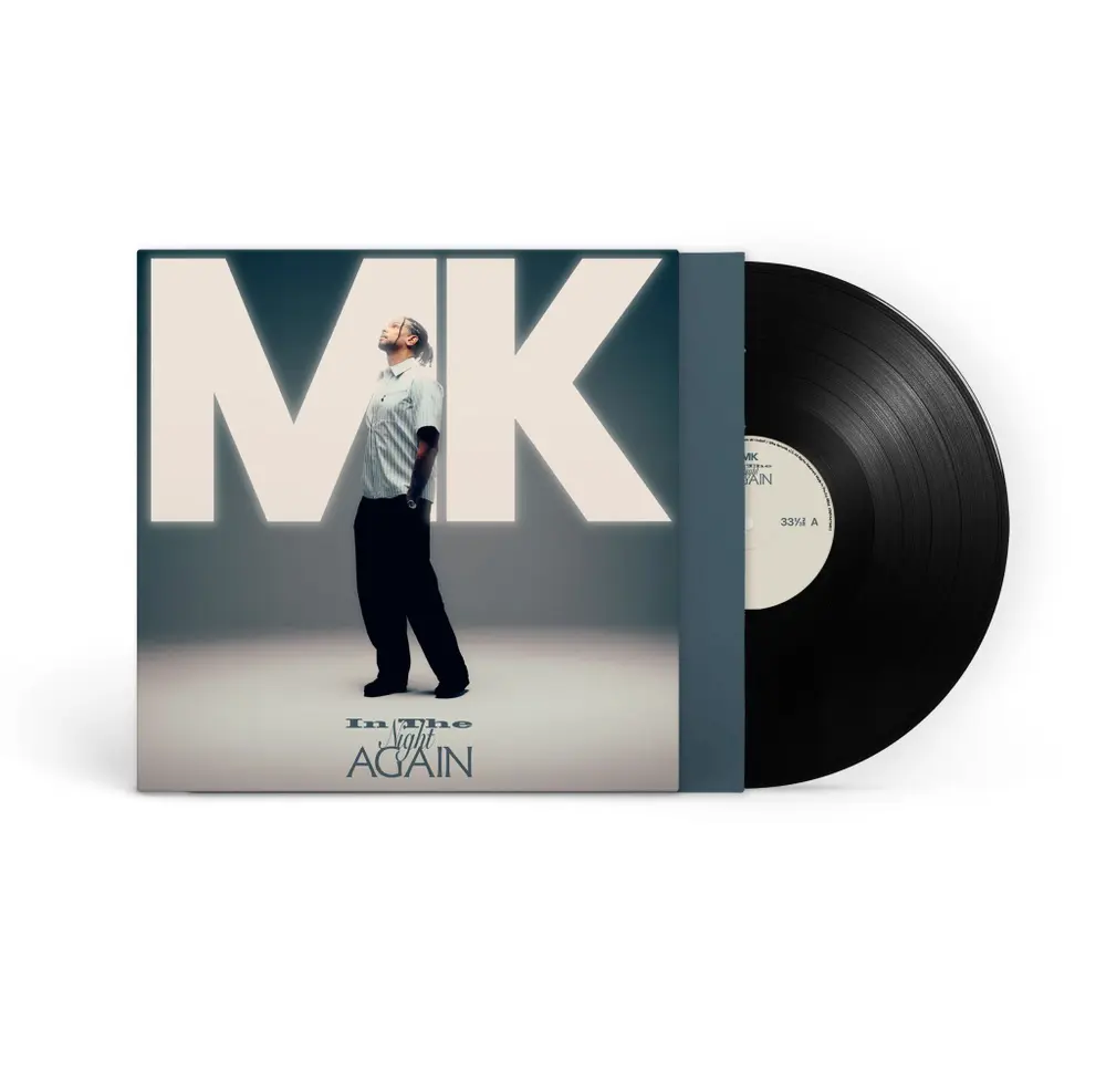 In The Night Again (Vinyl)