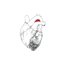 Swans, Vinyl SWANS - BEGGAR