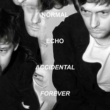 Normal Echo, Vinyl ACCIDENTAL FOREVER