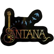 Fridge Magnet: Guitar & Birds thumbnail
