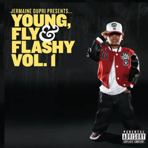 Young, Fly & Flashy vol. 1