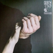 Vinyl WE ALREADY LOST THE WORLD