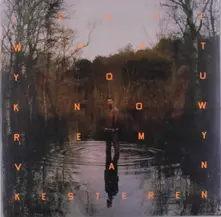 Remy van Kesteren, Vinyl LEAVE WHAT YOU KNOW