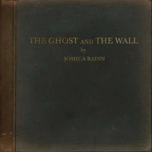 Joshua Radin, Vinyl THE GHOST AND THE WALL