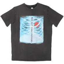 X-Ray