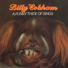 Billy Cobham, CD A FUNKY THIDE OF SINGS