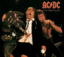 Vinyl If You Want Blood You've Got It