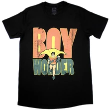 Batman Robin Boy Wonder thumbnail