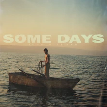 Vinyl Some Days