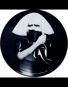 Vinyl THE FAME MONSTER