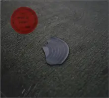 THEY MIGHT BE GIANTS - BOOK (CD)