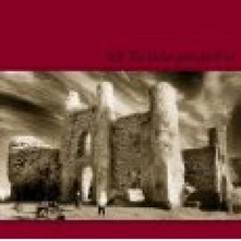 U2, CD THE UNFORGETTABLE FIRE
