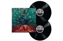 Vinyl SORCERESS