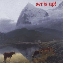 Vinyl SERFS UP!
