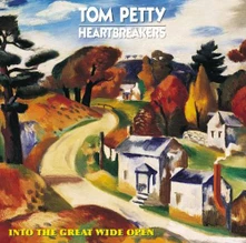 Tom Petty and the Heartbreakers, Vinyl INTO THE GREAT WIDE OPEN
