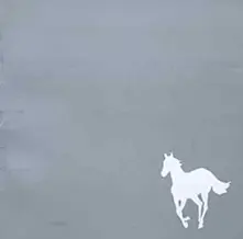 WHITE PONEY thumbnail