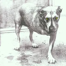 CD Alice In Chains