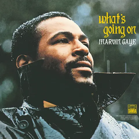 Marvin Gaye – Vinyl What's Going (Reissue)