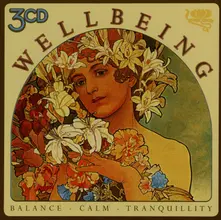 CD WELLBEING -BALANCE-CALM-TRANQUILITY